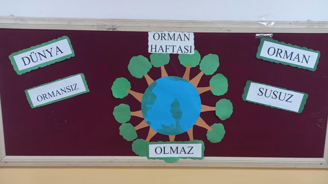 ORMAN HAFTASI